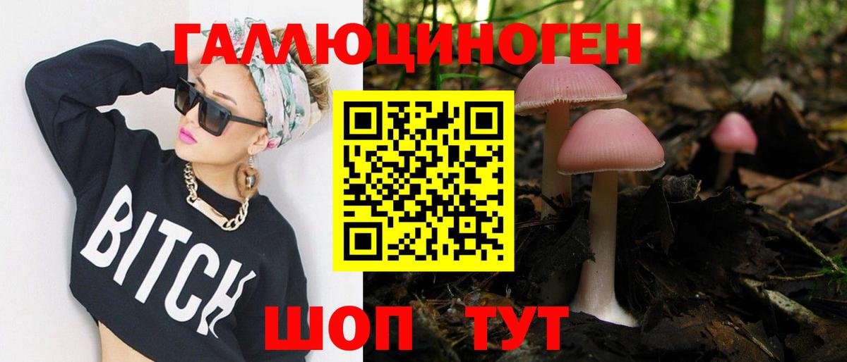 Кимовск  Галлюциногенные грибы GOLDEN TEACHER  Псилоцибиновые грибы мицелий  Вход с VPN 